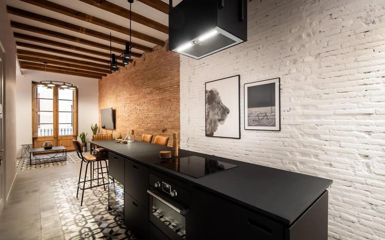Amazing New Apartment With Rooftop Jacuzzi Barcelona Spain