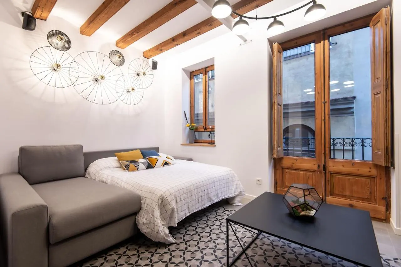Amazing New Apartment With Rooftop Jacuzzi Barcelona Spain
